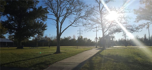 view of yard with a patio area