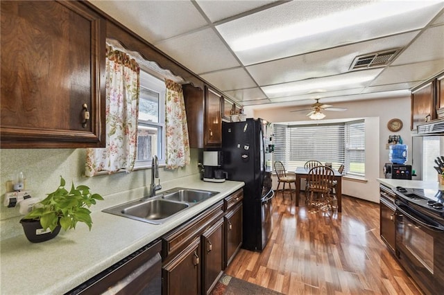 kitchen with a paneled ceiling, light hardwood / wood-style flooring, a healthy amount of sunlight, and sink