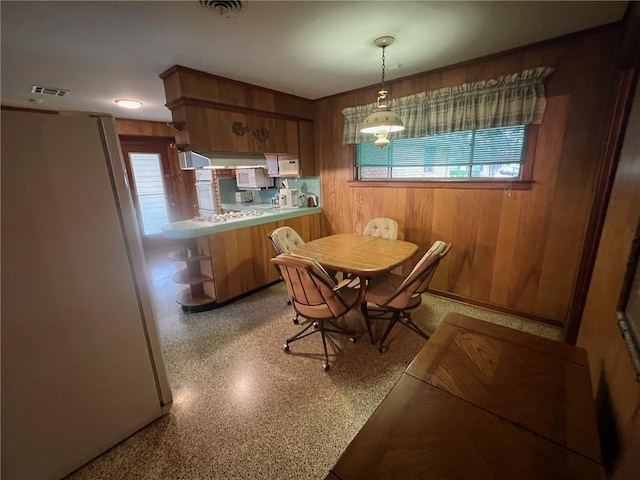 dining room featuring wooden walls and plenty of natural light