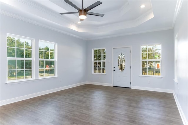 entryway with a raised ceiling, crown molding, ceiling fan, and dark hardwood / wood-style floors