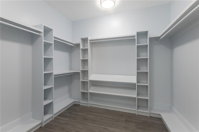 walk in closet featuring dark hardwood / wood-style floors