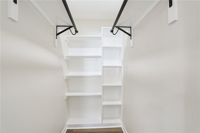 spacious closet featuring wood-type flooring