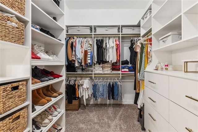 view of walk in closet