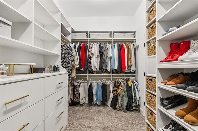 view of walk in closet