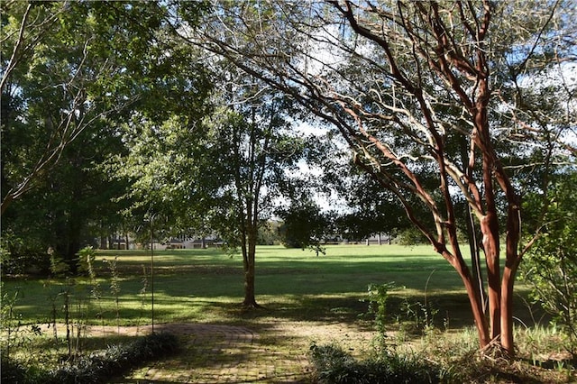 view of community featuring a yard