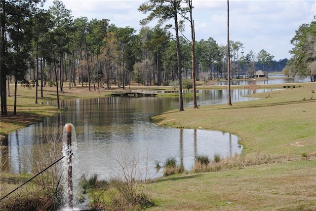 property view of water