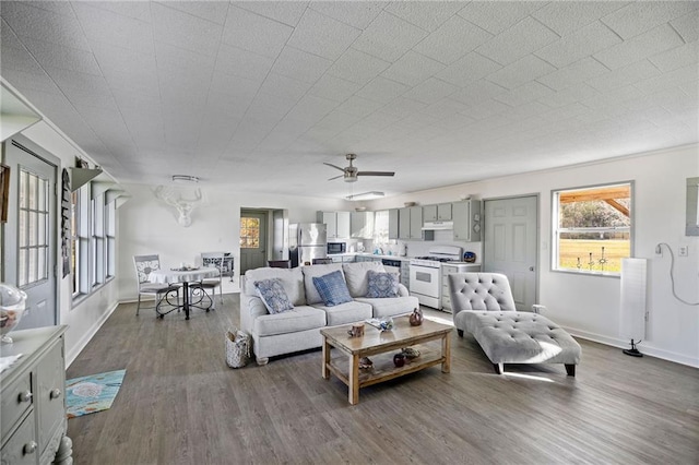 living room with ceiling fan and hardwood / wood-style flooring