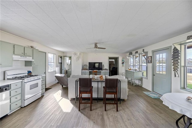 kitchen with a wealth of natural light, light hardwood / wood-style flooring, and white appliances