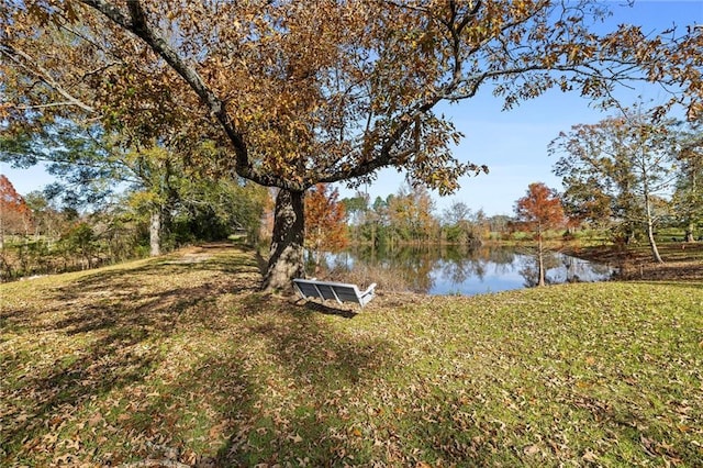 view of yard with a water view