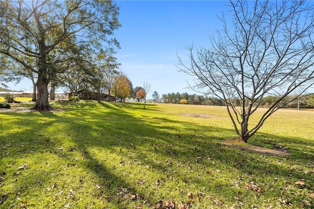 view of yard featuring a rural view