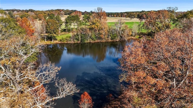 property view of water