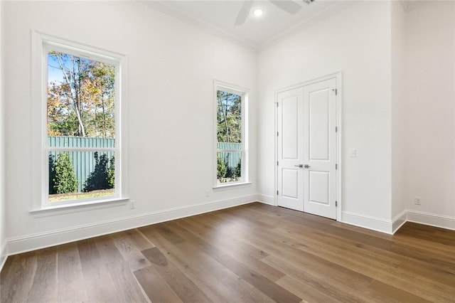 spare room with dark hardwood / wood-style floors, ceiling fan, and crown molding