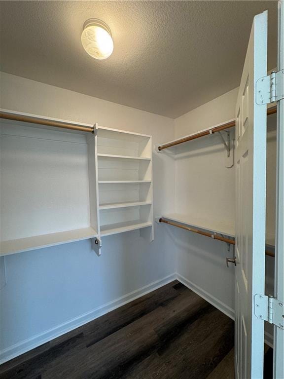 walk in closet with dark hardwood / wood-style flooring