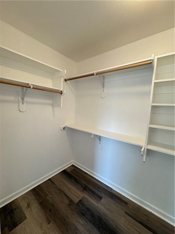 walk in closet featuring dark wood-type flooring