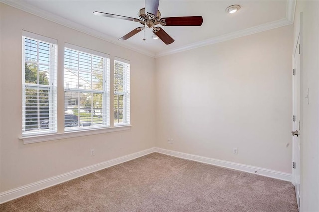 carpeted spare room featuring ceiling fan and crown molding