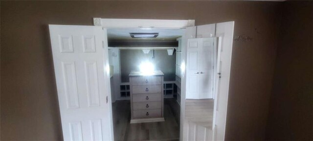 spacious closet featuring wood-type flooring