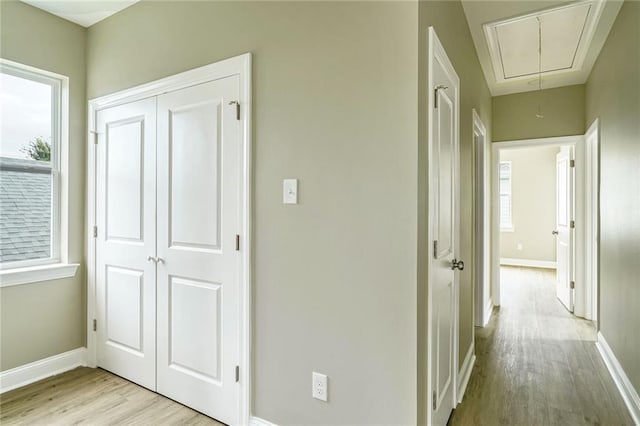 hall featuring a healthy amount of sunlight and light hardwood / wood-style floors