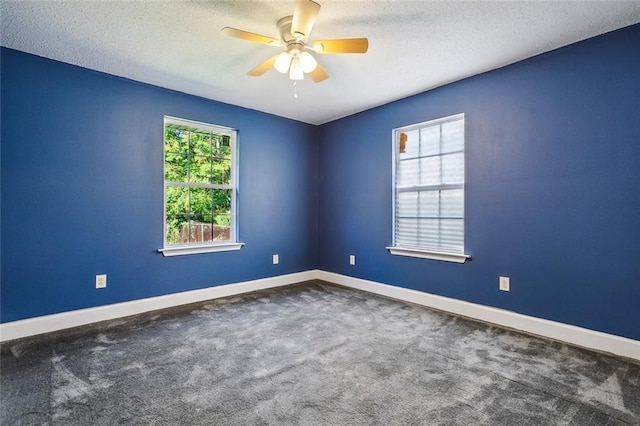 spare room featuring carpet, plenty of natural light, and a textured ceiling