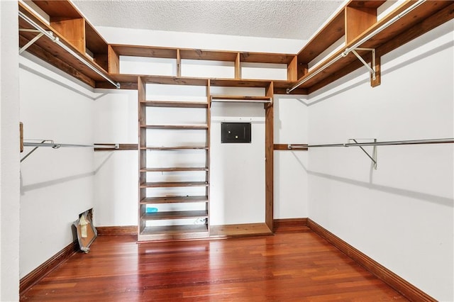 walk in closet featuring dark wood finished floors