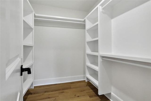 walk in closet featuring hardwood / wood-style flooring