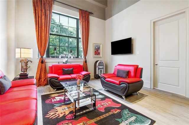 living room with wood-type flooring