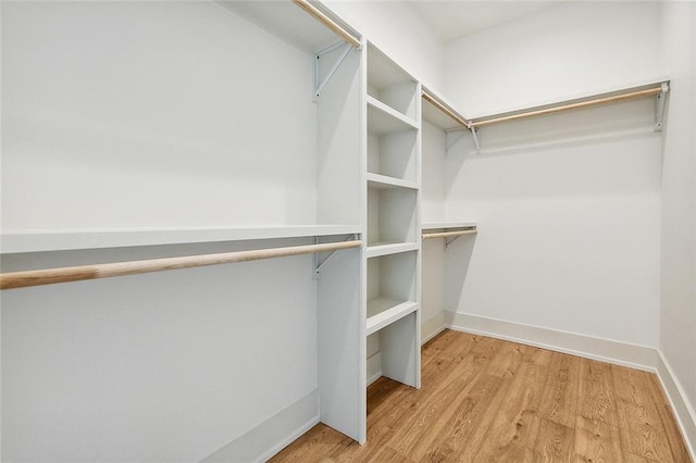 spacious closet featuring light hardwood / wood-style floors