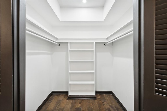 spacious closet with dark hardwood / wood-style flooring