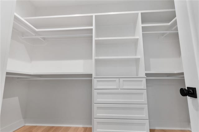 spacious closet with light wood-type flooring