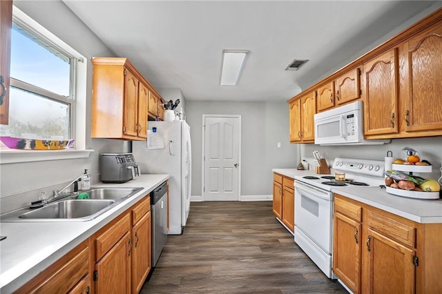 kitchen featuring dark hardwood / wood-style floors, white appliances, and sink