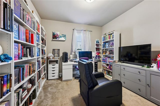 view of carpeted office space