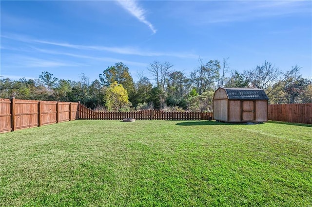 view of yard featuring a storage shed