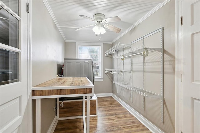 spacious closet featuring ceiling fan and wood-type flooring