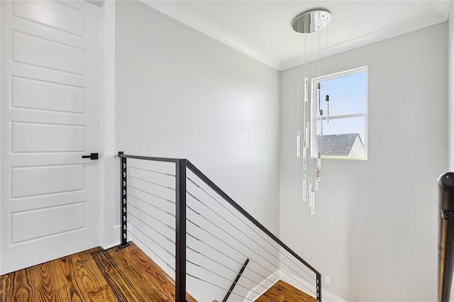 stairway with hardwood / wood-style floors and ornamental molding