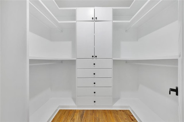 spacious closet with hardwood / wood-style floors