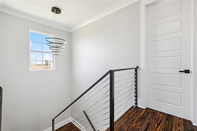 stairway with a chandelier, hardwood / wood-style flooring, and ornamental molding