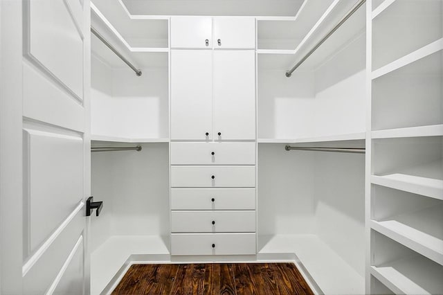 walk in closet with dark hardwood / wood-style floors