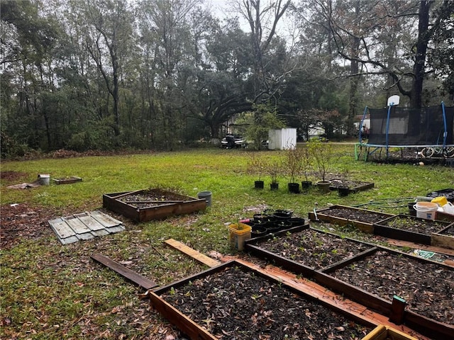 view of yard featuring a trampoline