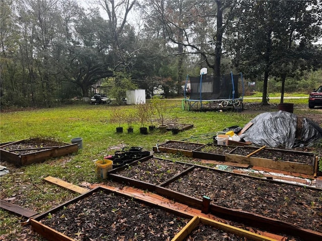 view of yard featuring a trampoline