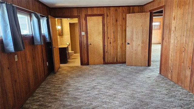 interior space with carpet floors and wooden walls