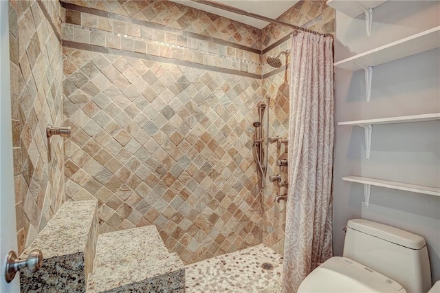 bathroom with a shower with shower curtain and toilet