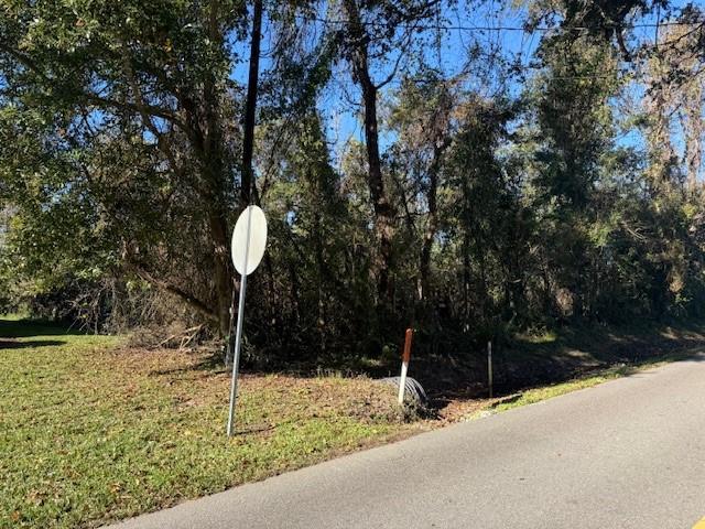 1101 Evangeline Rd, Montz LA, 70068 land for sale