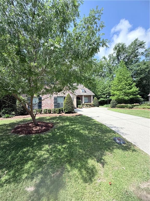 view of front of house with a front lawn and concrete driveway