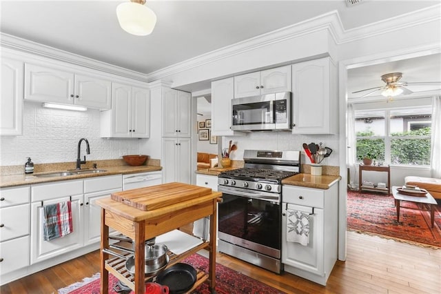 kitchen with white cabinets, stainless steel appliances, ceiling fan, and sink