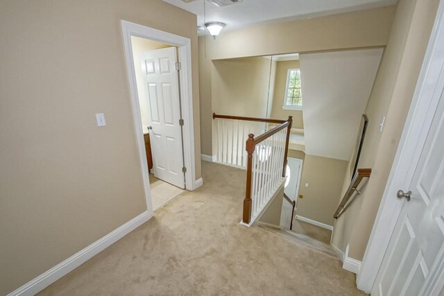 staircase featuring carpet flooring