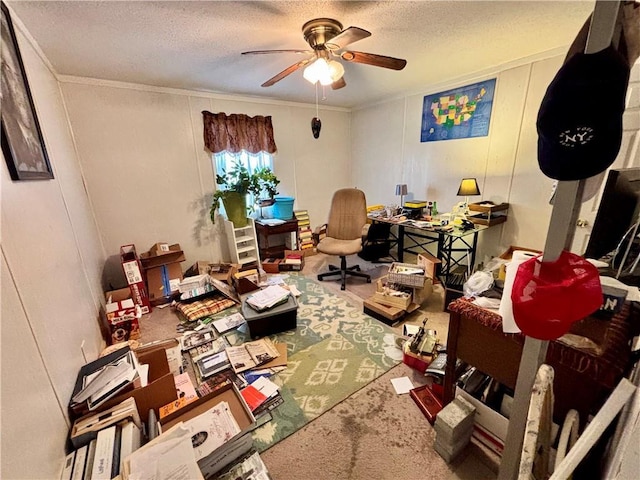 misc room with ceiling fan, carpet, and a textured ceiling