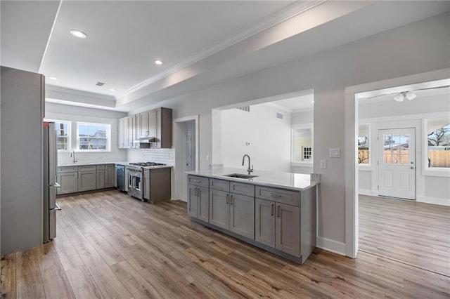 kitchen with gray cabinetry, sink, appliances with stainless steel finishes, tasteful backsplash, and wood-type flooring