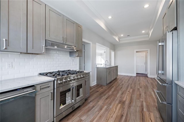 kitchen with sink, a tray ceiling, high quality appliances, and gray cabinetry