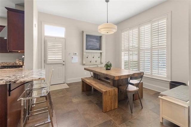 dining area featuring plenty of natural light