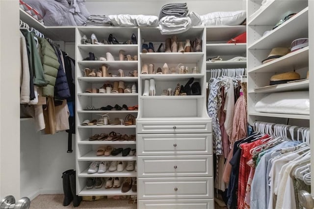 walk in closet featuring carpet flooring