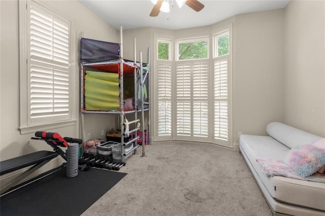 workout area featuring ceiling fan and carpet